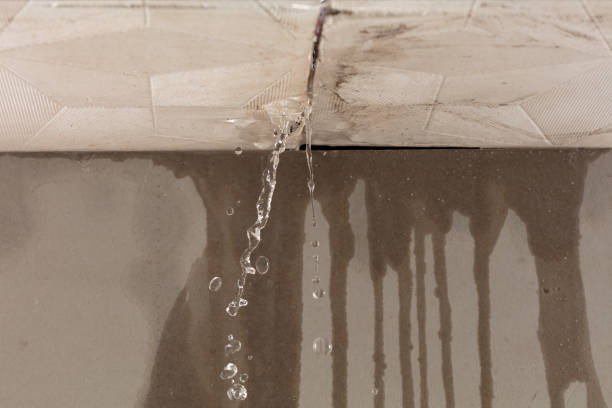 Professional Structural Drying technician working in Vanlue, OH